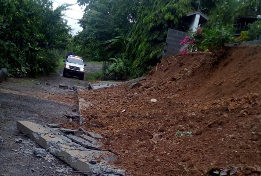 Reportan Caída De árboles Casas Anegadas Y Hasta El Colapso De Un Muro